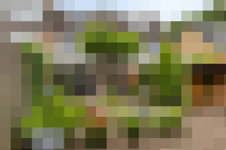 Dorus Rijkersstraat 57 Dinteloord thumbnail 28