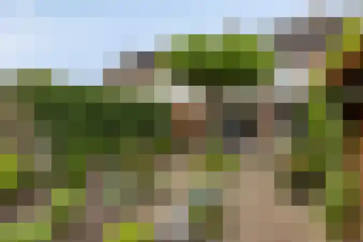 Dorus Rijkersstraat 57 Dinteloord thumbnail 29