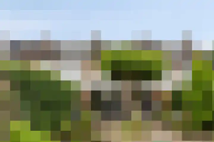 Dorus Rijkersstraat 57 Dinteloord thumbnail 30