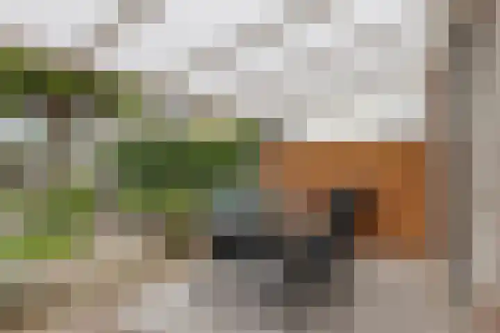 Dorus Rijkersstraat 57 Dinteloord thumbnail 31