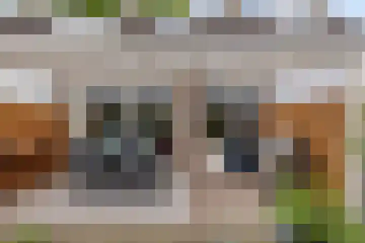 Dorus Rijkersstraat 57 Dinteloord thumbnail 32