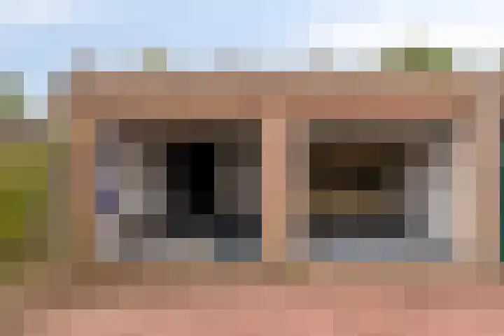 Dorus Rijkersstraat 57 Dinteloord thumbnail 34