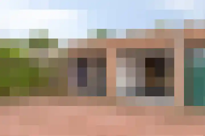 Dorus Rijkersstraat 57 Dinteloord thumbnail 35