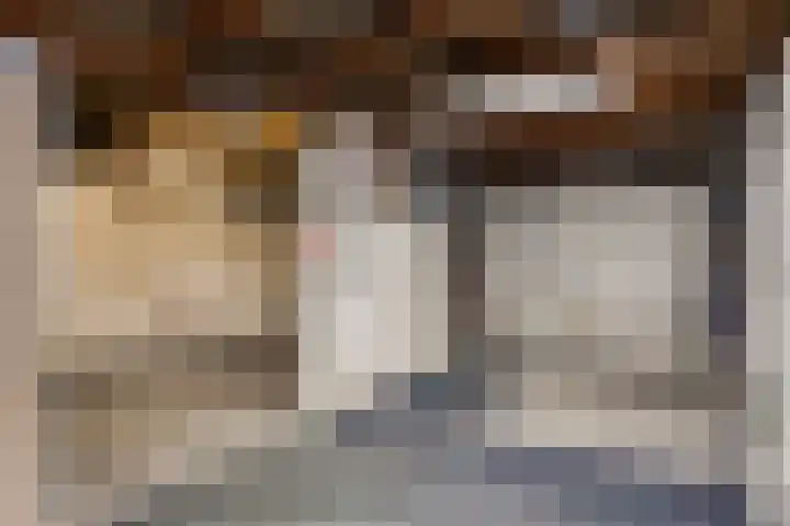 Dorus Rijkersstraat 57 Dinteloord thumbnail 36
