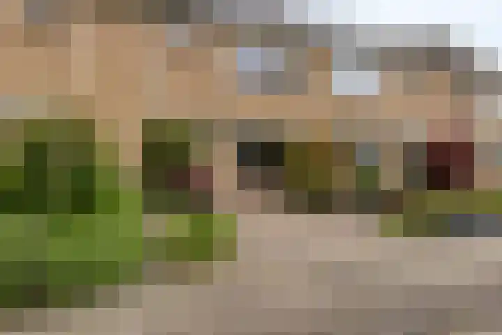 Dorus Rijkersstraat 57 Dinteloord thumbnail 41