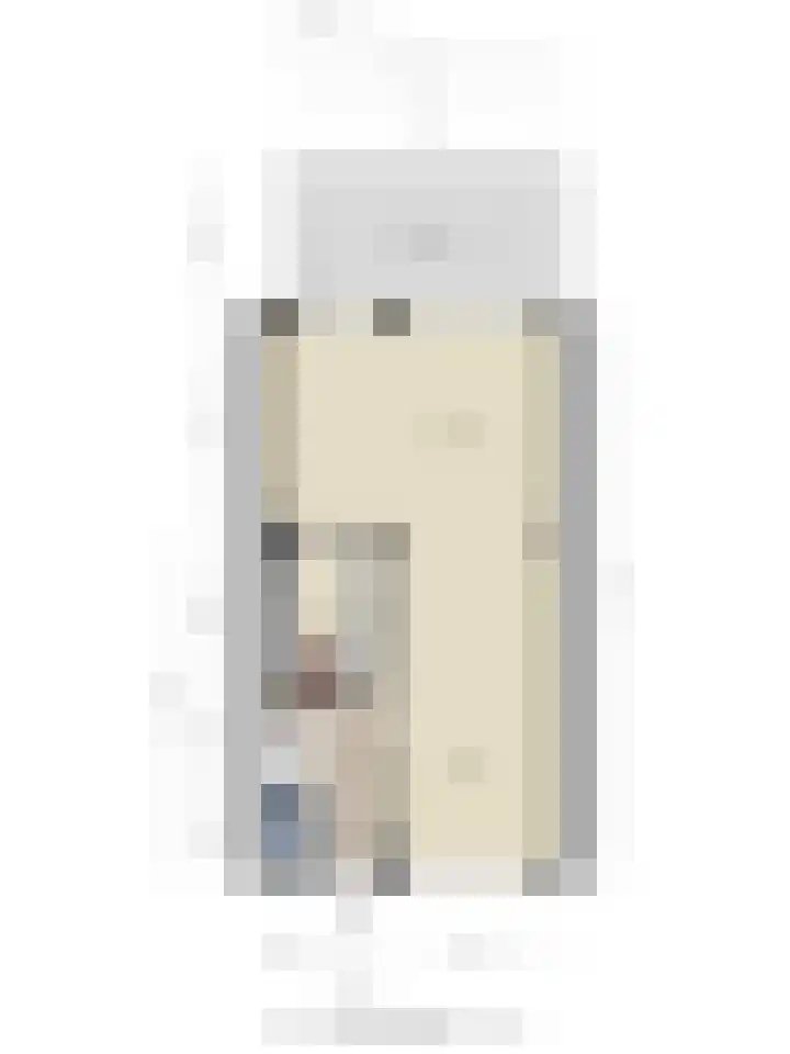 Dorus Rijkersstraat 57 Dinteloord thumbnail 46