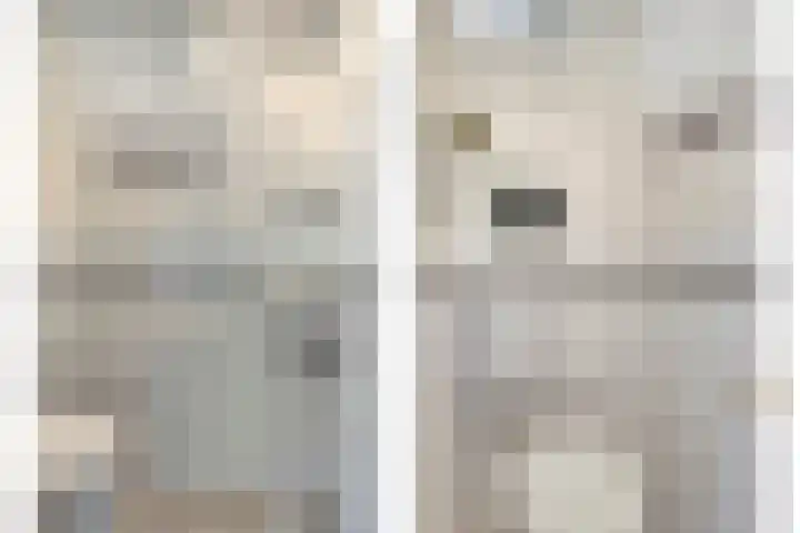 Dorus Rijkersstraat 57 Dinteloord thumbnail 5