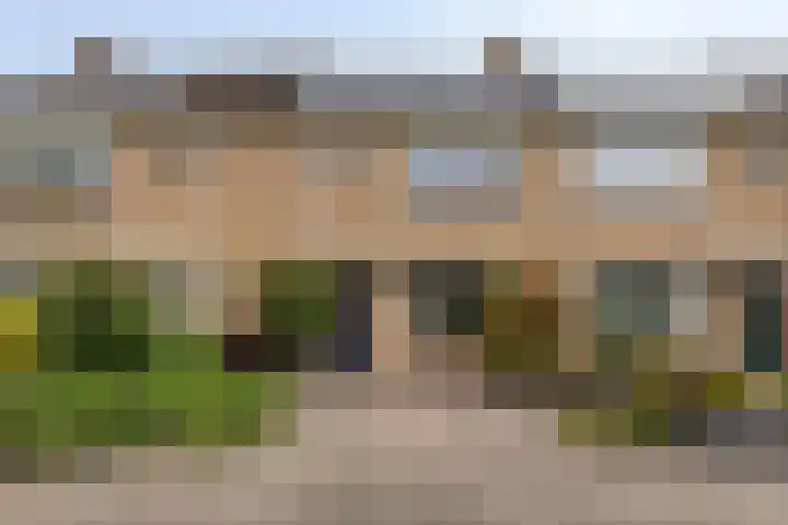 Dorus Rijkersstraat 57 Dinteloord thumbnail 50
