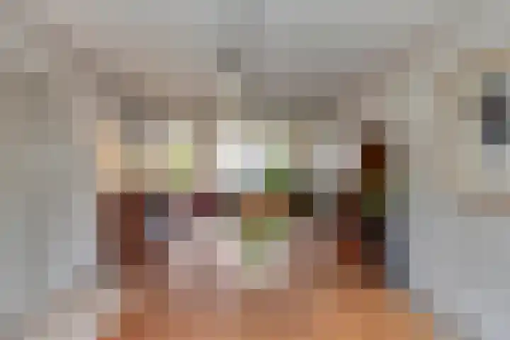 Dorus Rijkersstraat 57 Dinteloord thumbnail 7