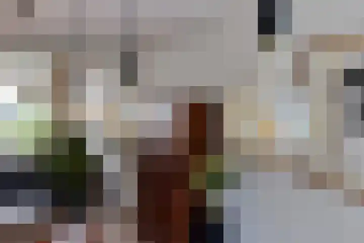 Dorus Rijkersstraat 57 Dinteloord thumbnail 8