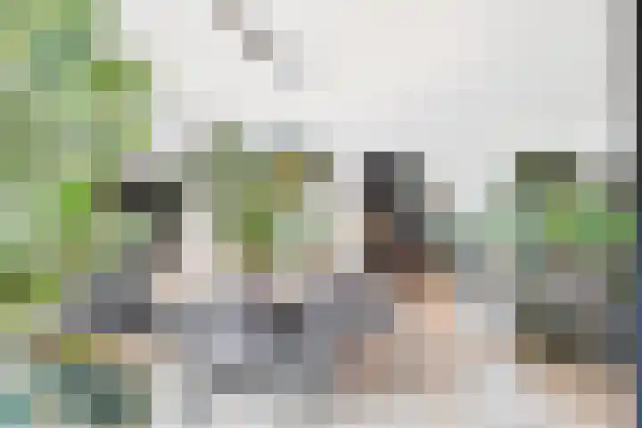 Dorus Rijkersstraat 6 Terneuzen thumbnail 10