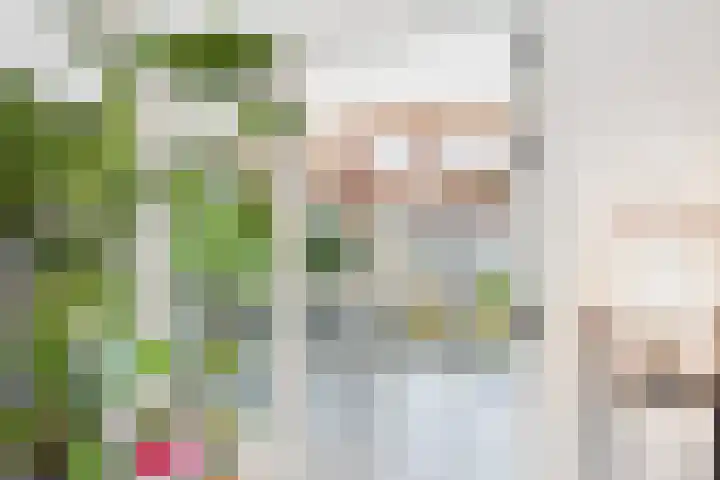 Dorus Rijkersstraat 6 Terneuzen thumbnail 11