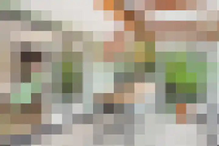 Dorus Rijkersstraat 6 Terneuzen thumbnail 12