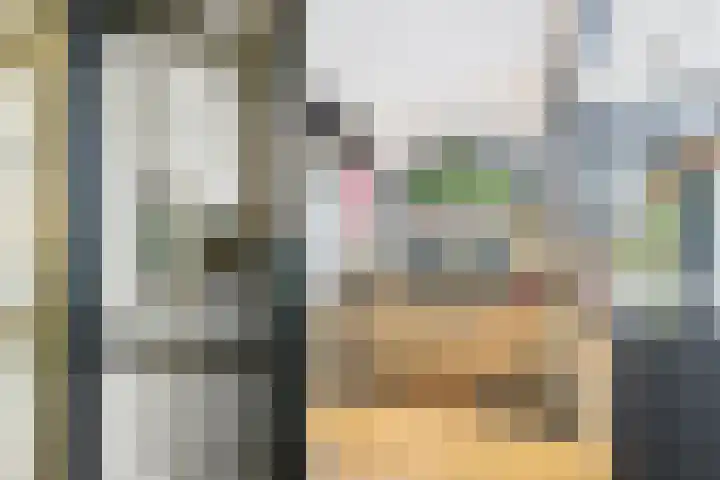 Dorus Rijkersstraat 6 Terneuzen thumbnail 13