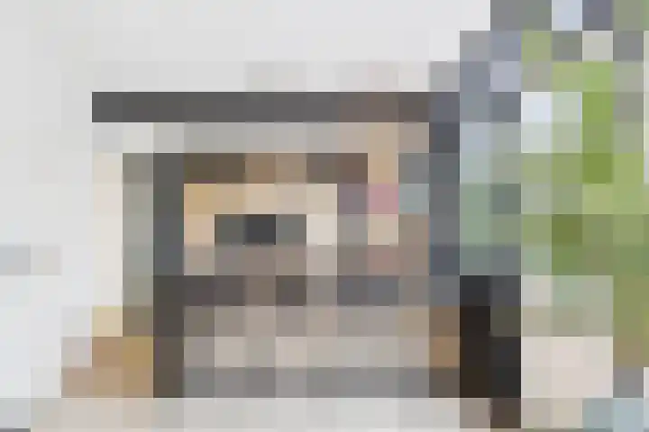 Dorus Rijkersstraat 6 Terneuzen thumbnail 14