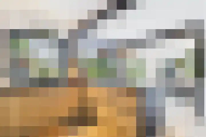 Dorus Rijkersstraat 6 Terneuzen thumbnail 15
