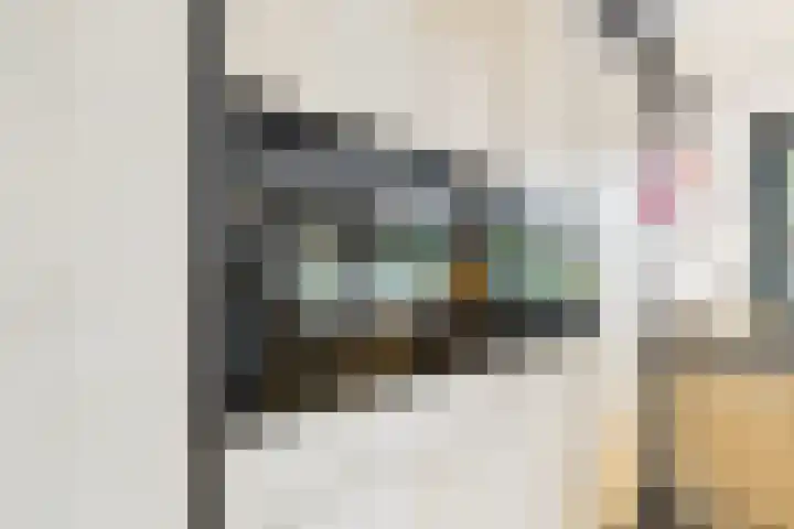 Dorus Rijkersstraat 6 Terneuzen thumbnail 16