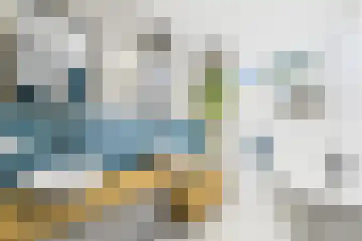 Dorus Rijkersstraat 6 Terneuzen thumbnail 17
