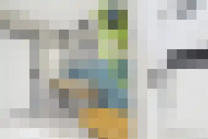 Dorus Rijkersstraat 6 Terneuzen thumbnail 18