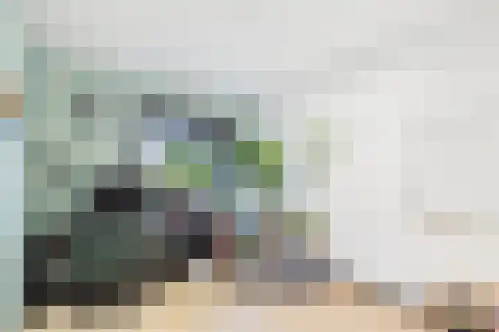 Dorus Rijkersstraat 6 Terneuzen thumbnail 19