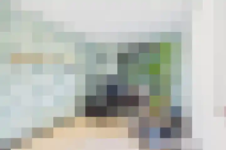Dorus Rijkersstraat 6 Terneuzen thumbnail 20