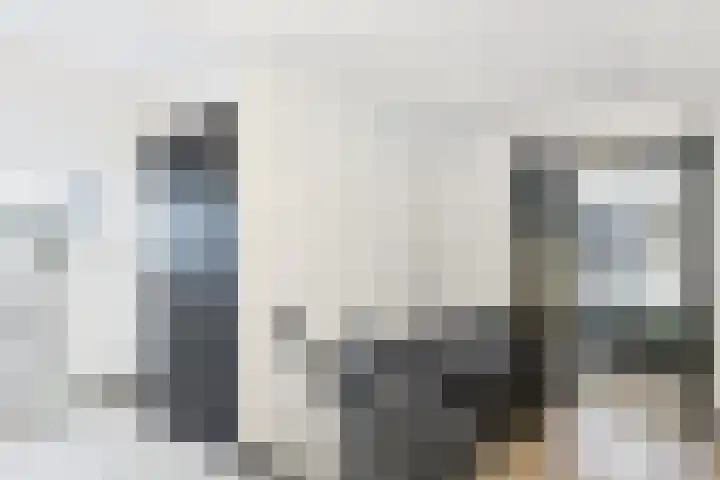 Dorus Rijkersstraat 6 Terneuzen thumbnail 22