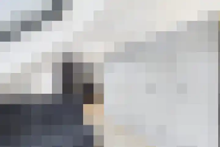Dorus Rijkersstraat 6 Terneuzen thumbnail 23
