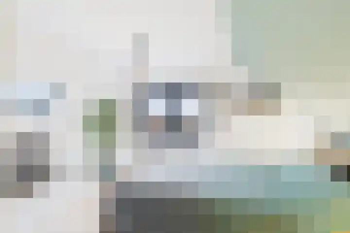 Dorus Rijkersstraat 6 Terneuzen thumbnail 24