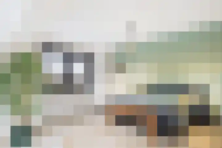 Dorus Rijkersstraat 6 Terneuzen thumbnail 25