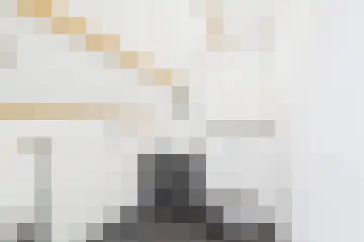 Dorus Rijkersstraat 6 Terneuzen thumbnail 26