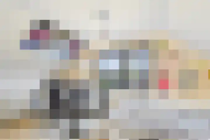 Dorus Rijkersstraat 6 Terneuzen thumbnail 29