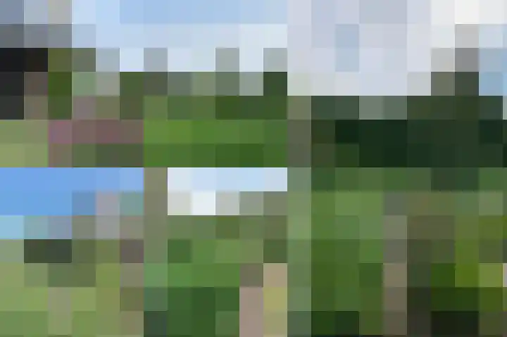 Dorus Rijkersstraat 6 Terneuzen thumbnail 31