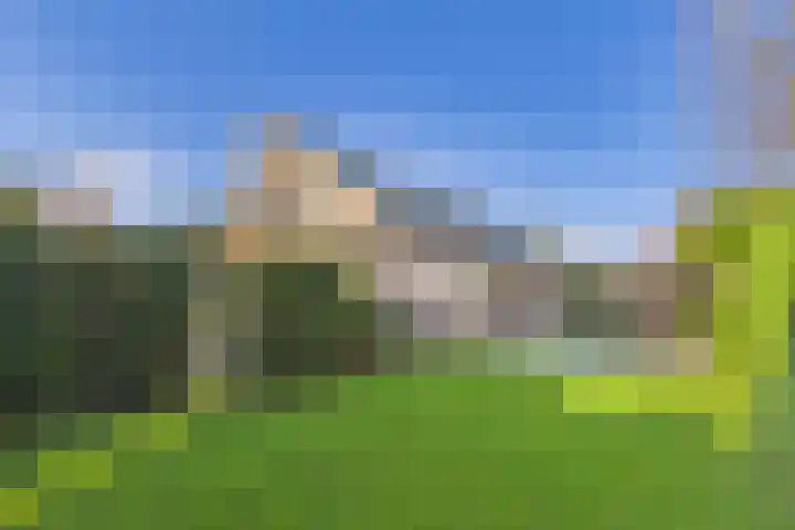Dorus Rijkersstraat 6 Terneuzen thumbnail 32