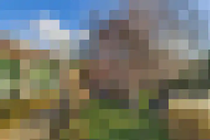 Dorus Rijkersstraat 6 Terneuzen thumbnail 33