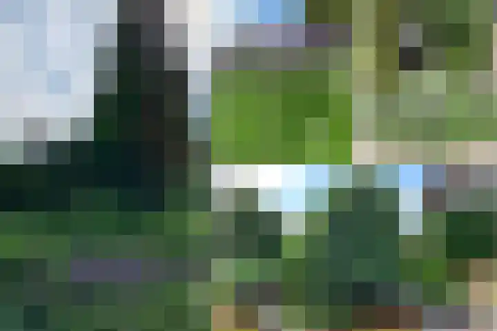 Dorus Rijkersstraat 6 Terneuzen thumbnail 35