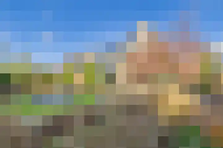 Dorus Rijkersstraat 6 Terneuzen thumbnail 41