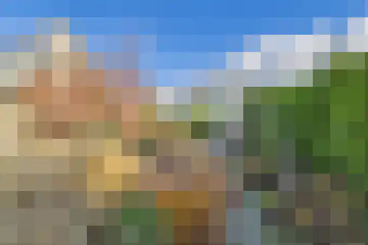 Dorus Rijkersstraat 6 Terneuzen thumbnail 42