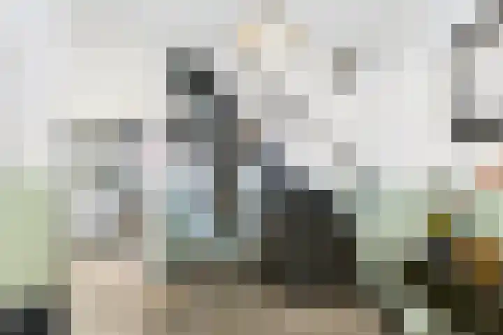 Dorus Rijkersstraat 6 Terneuzen thumbnail 6