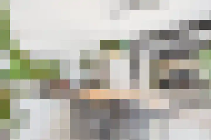 Dorus Rijkersstraat 6 Terneuzen thumbnail 8