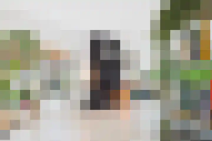 Dorus Rijkersstraat 6 Terneuzen thumbnail 9