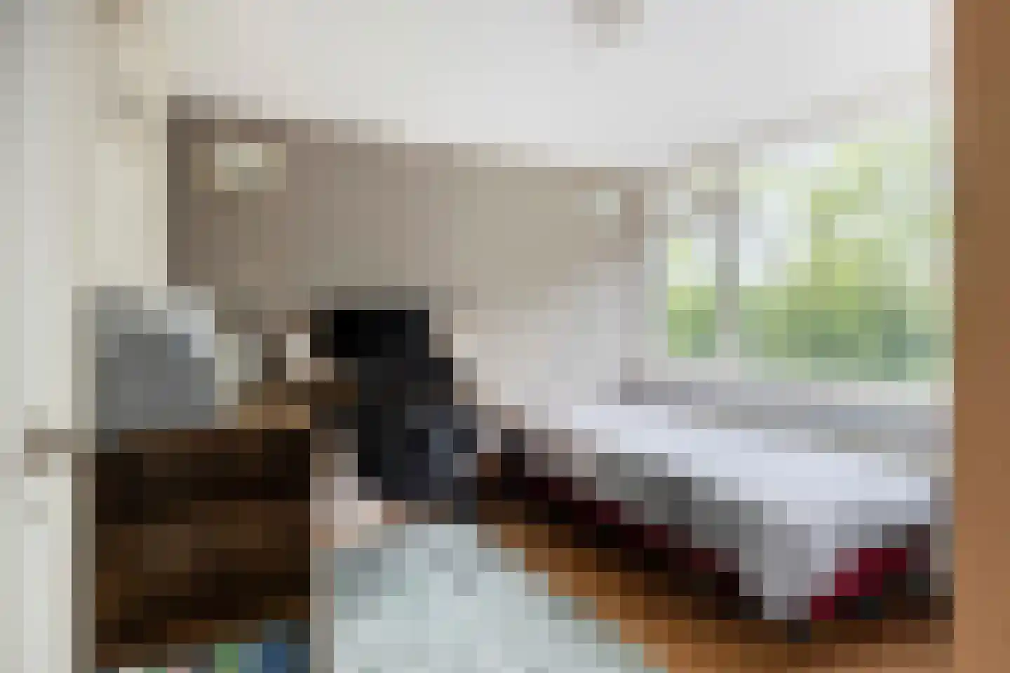 Dorus Rijkersstraat 7 Dinteloord thumbnail 17