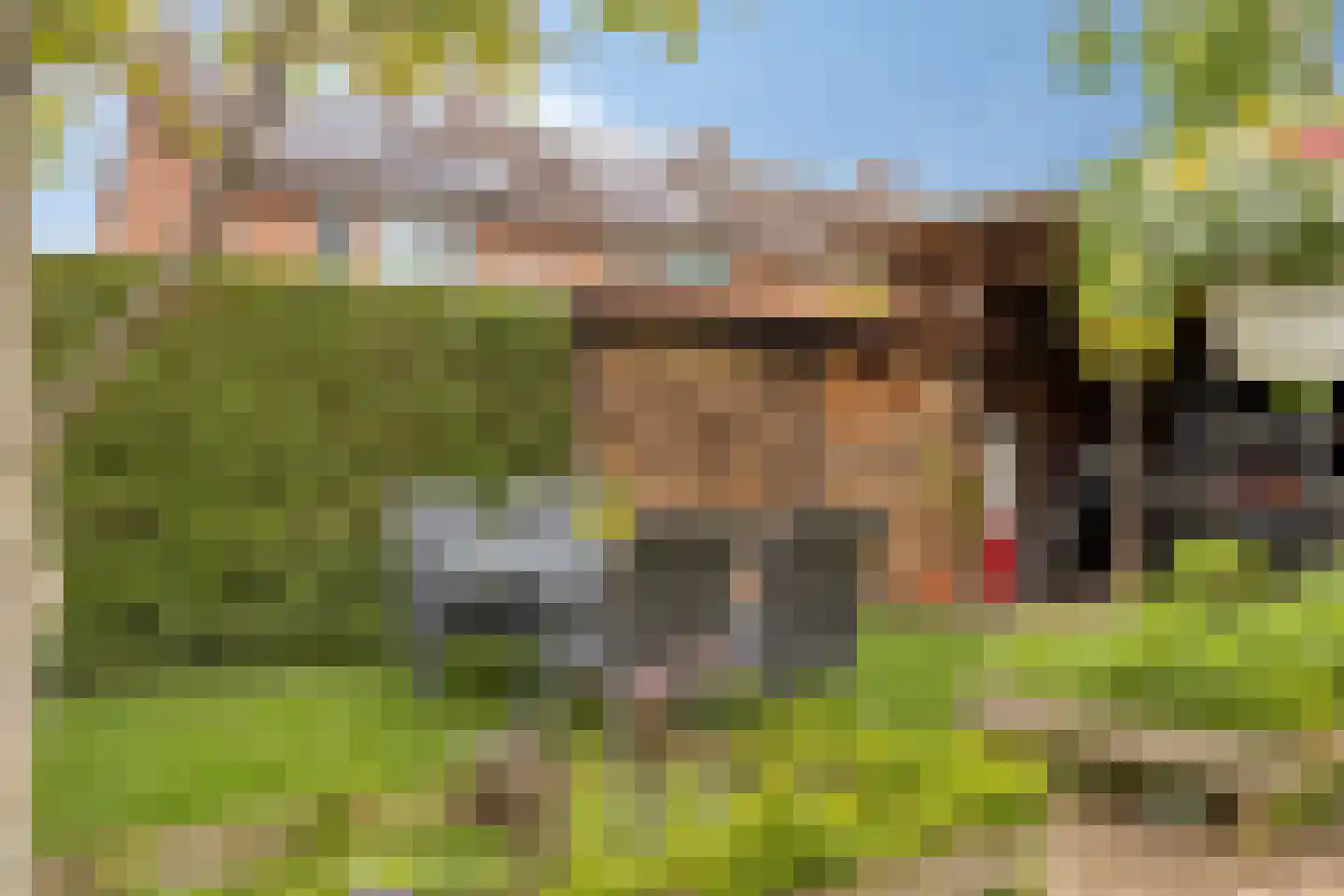 Dorus Rijkersstraat 7 Dinteloord thumbnail 22
