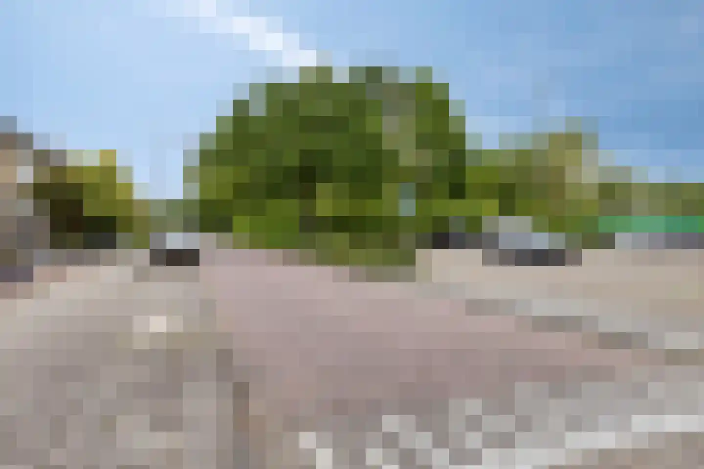 Dorus Rijkersstraat 7 Dinteloord thumbnail 25