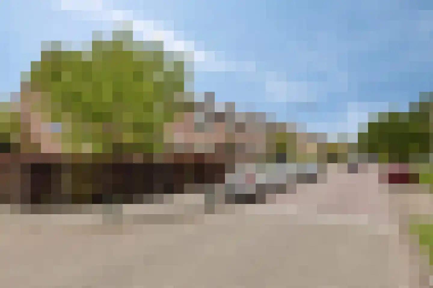 Dorus Rijkersstraat 7 Dinteloord thumbnail 26