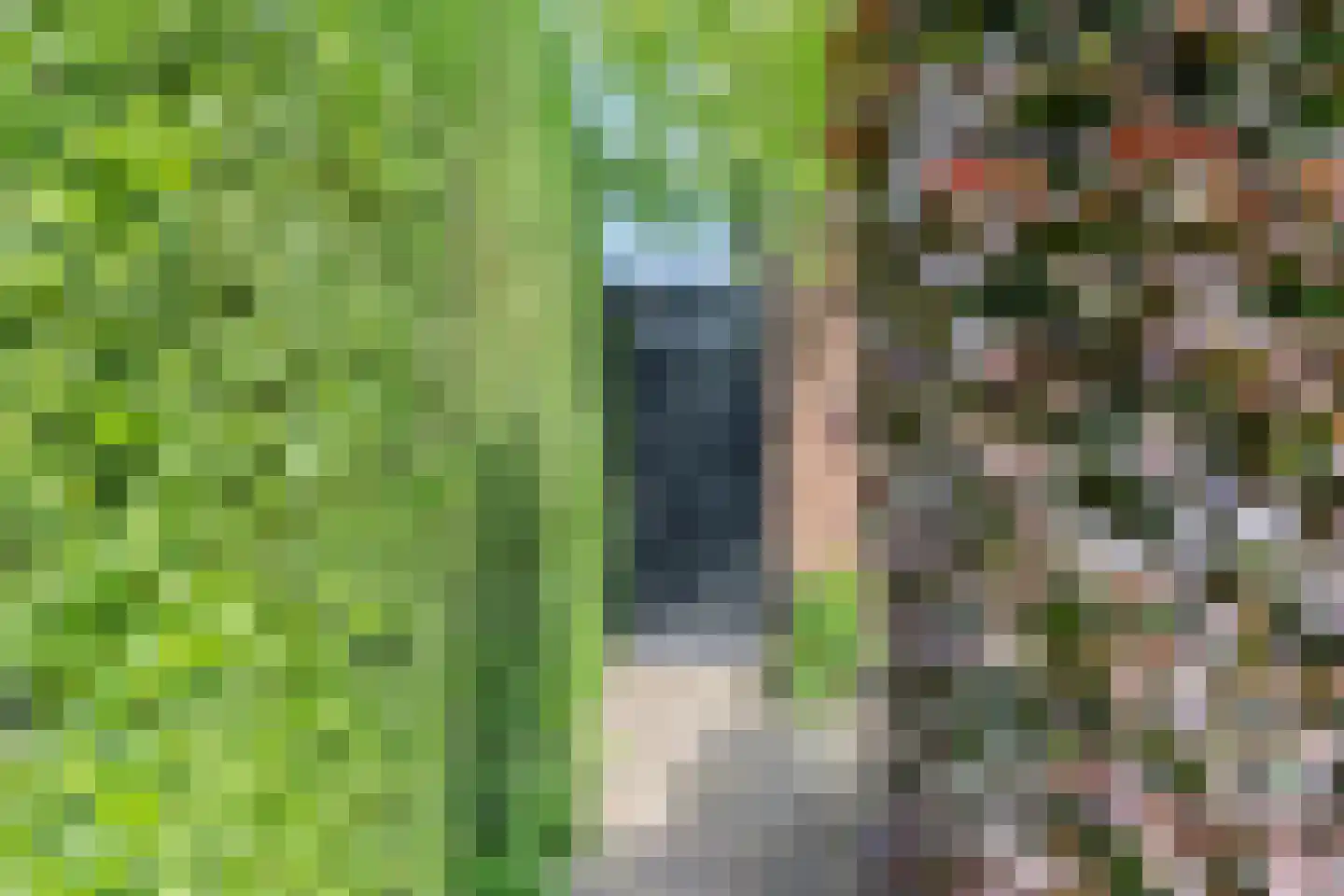 Dorus Rijkersstraat 7 Dinteloord thumbnail 29