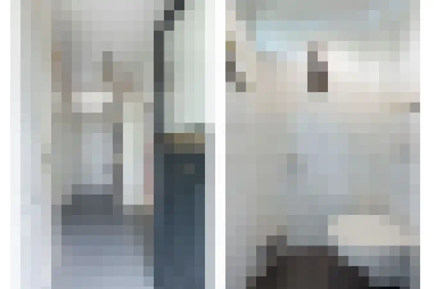 Dorus Rijkersstraat 7 Dinteloord thumbnail 4