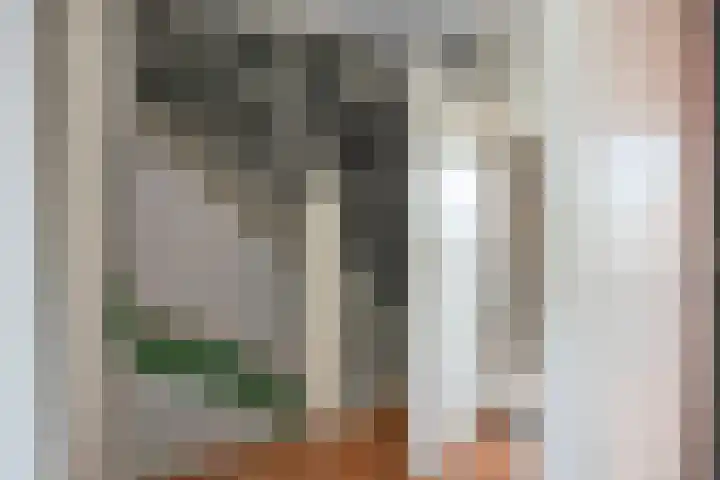 Dorus Rijkersstraat 9 Borne thumbnail 23