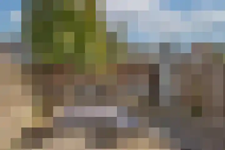 Dorus Rijkersstraat 9 Borne thumbnail 27