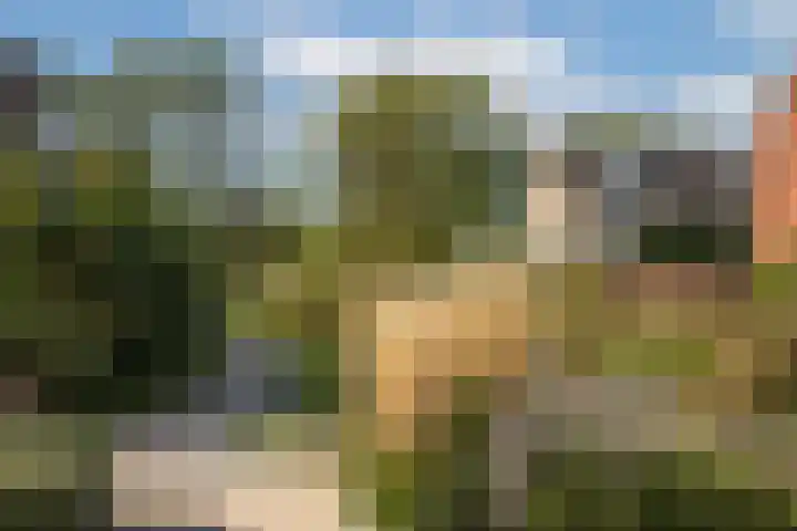 Dorus Rijkersstraat 9 Borne thumbnail 29