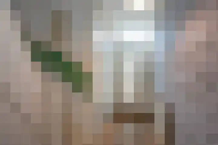 Dorus Rijkersstraat 9 Borne thumbnail 6